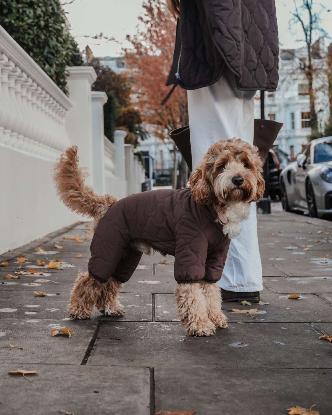 Chocolate | The Capsule Quilted Bodysuit