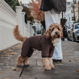 Chocolate | The Capsule Quilted Bodysuit
