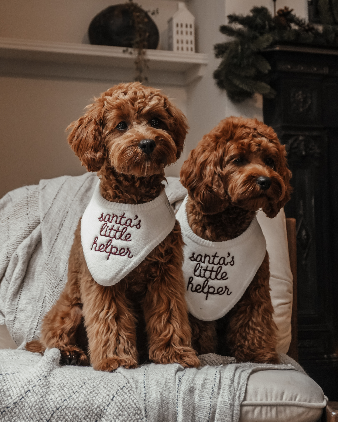 Santa's Little Helper | Knitted Bandana