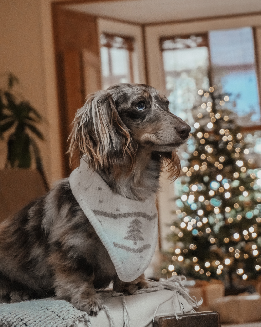 Winter Trees | Knitted Bandana