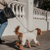 Marshmallow | The Capsule Quilted Bodysuit