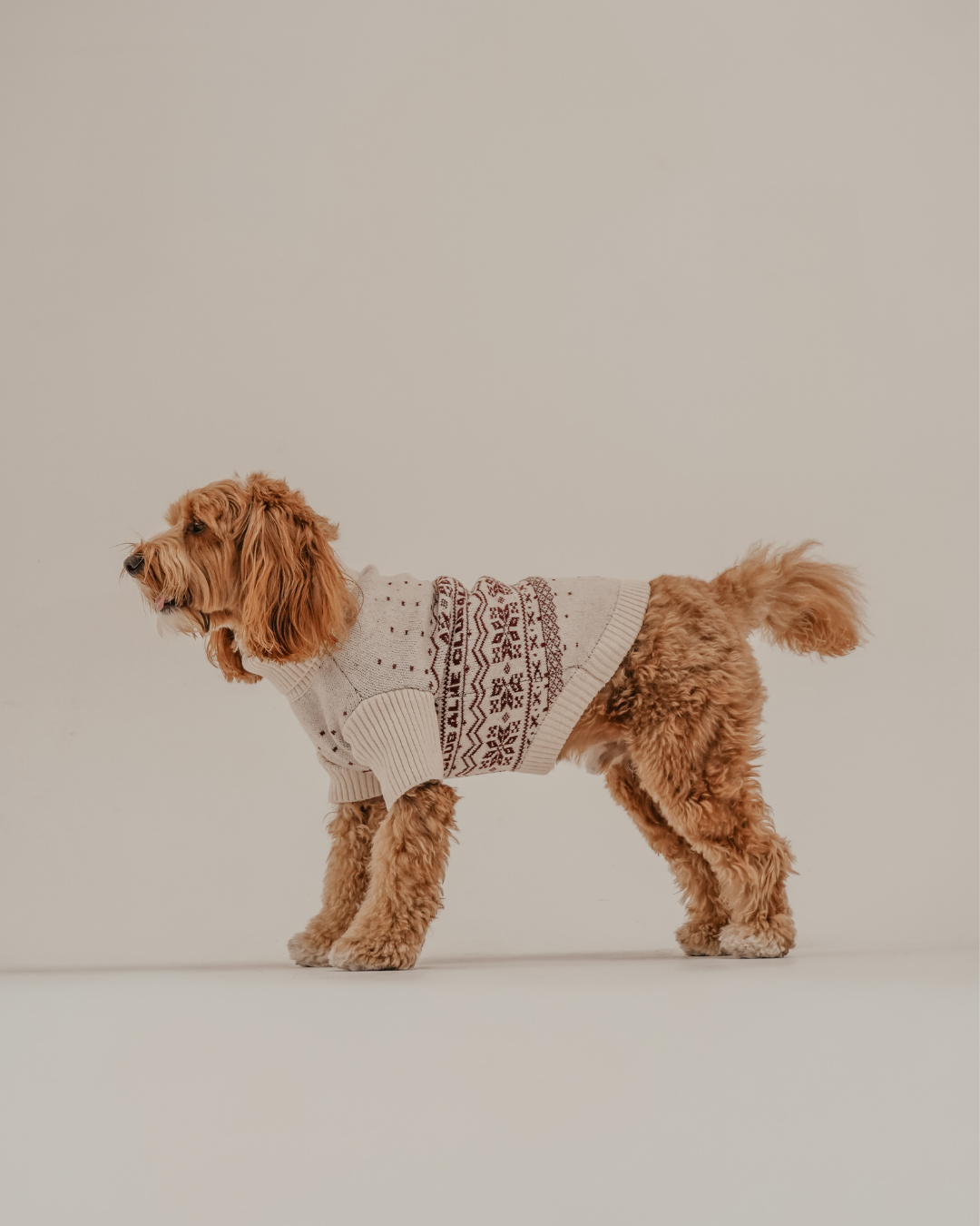 Snowberry | Après Ski Roll Neck Knit