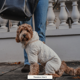 Marshmallow | The Capsule Quilted Bodysuit