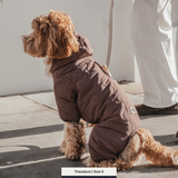Chocolate | The Capsule Quilted Bodysuit