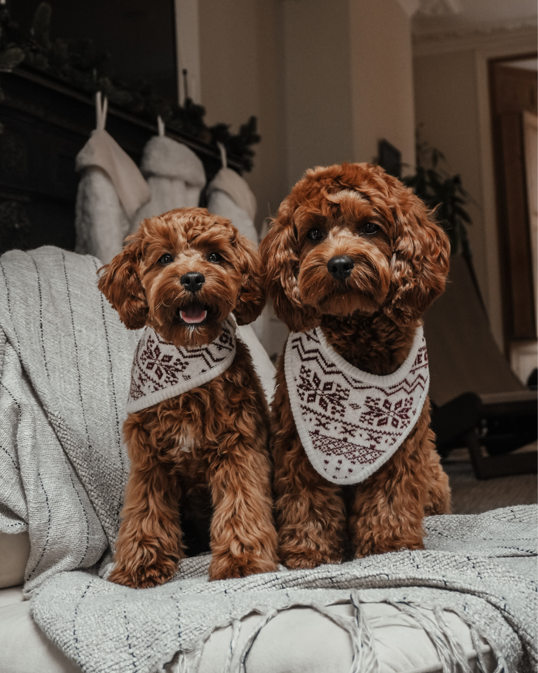 Snowberry | Après Ski Knitted Bandana