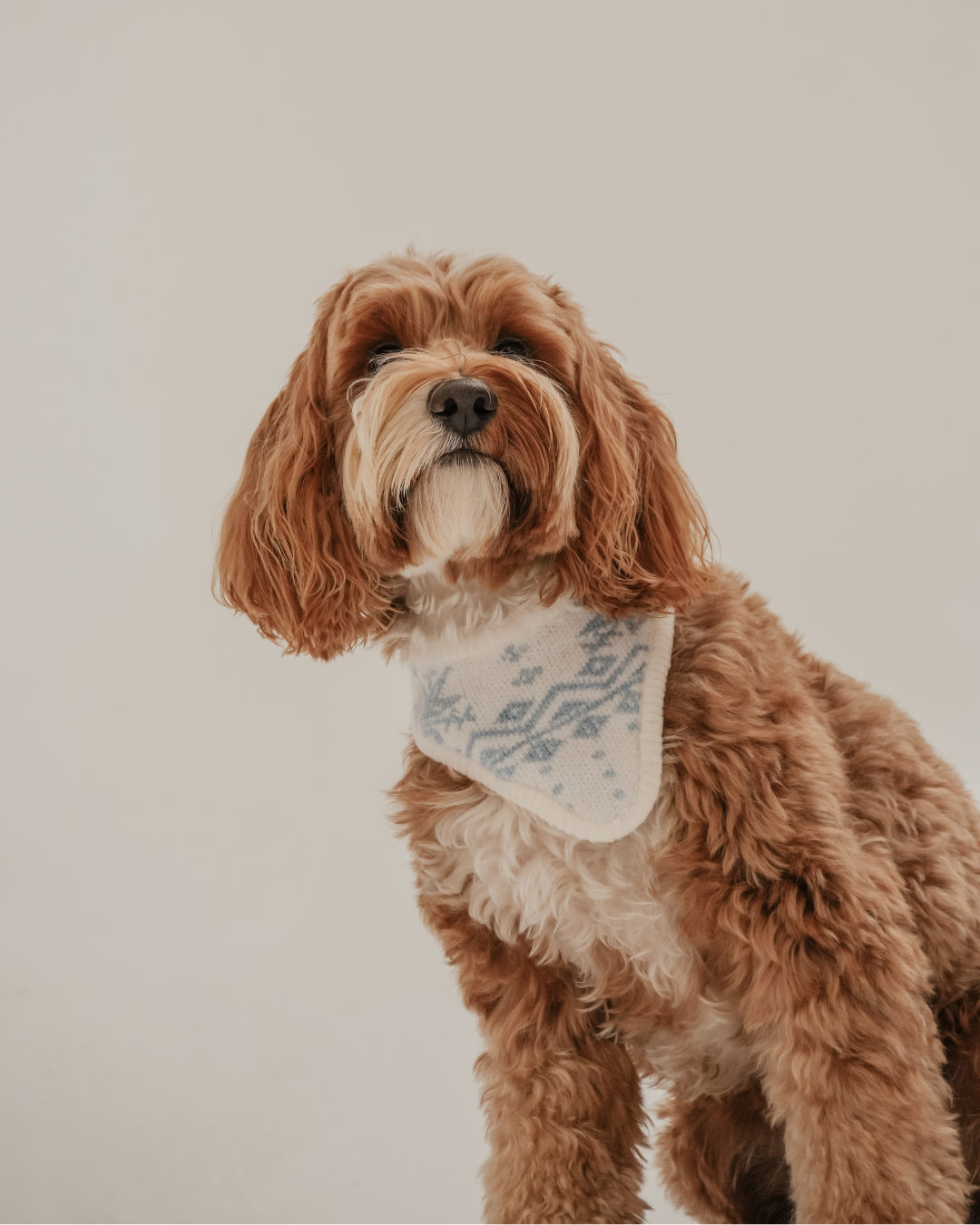 Ice Blue | Après Ski Knitted Bandana