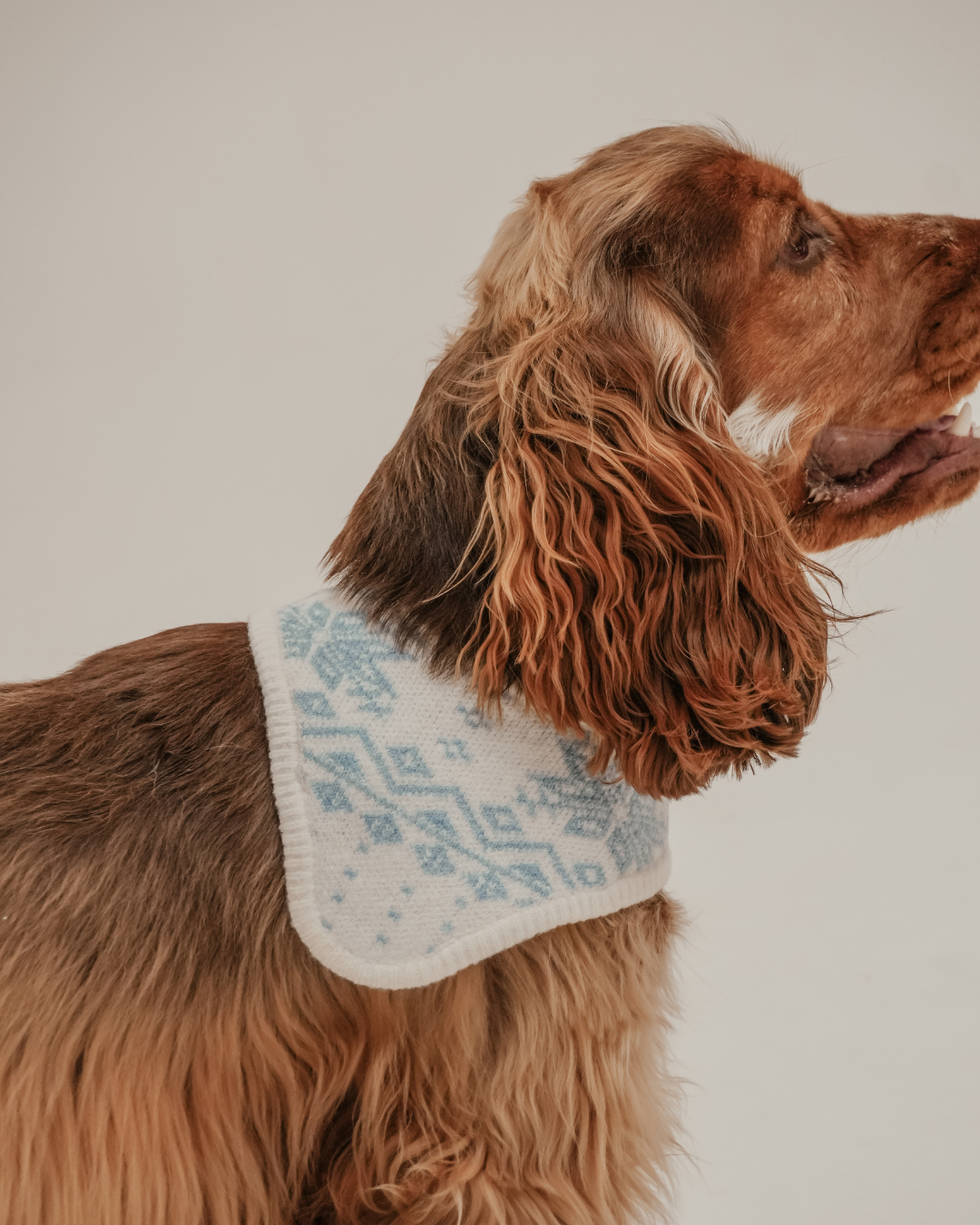 Ice Blue | Après Ski Knitted Bandana