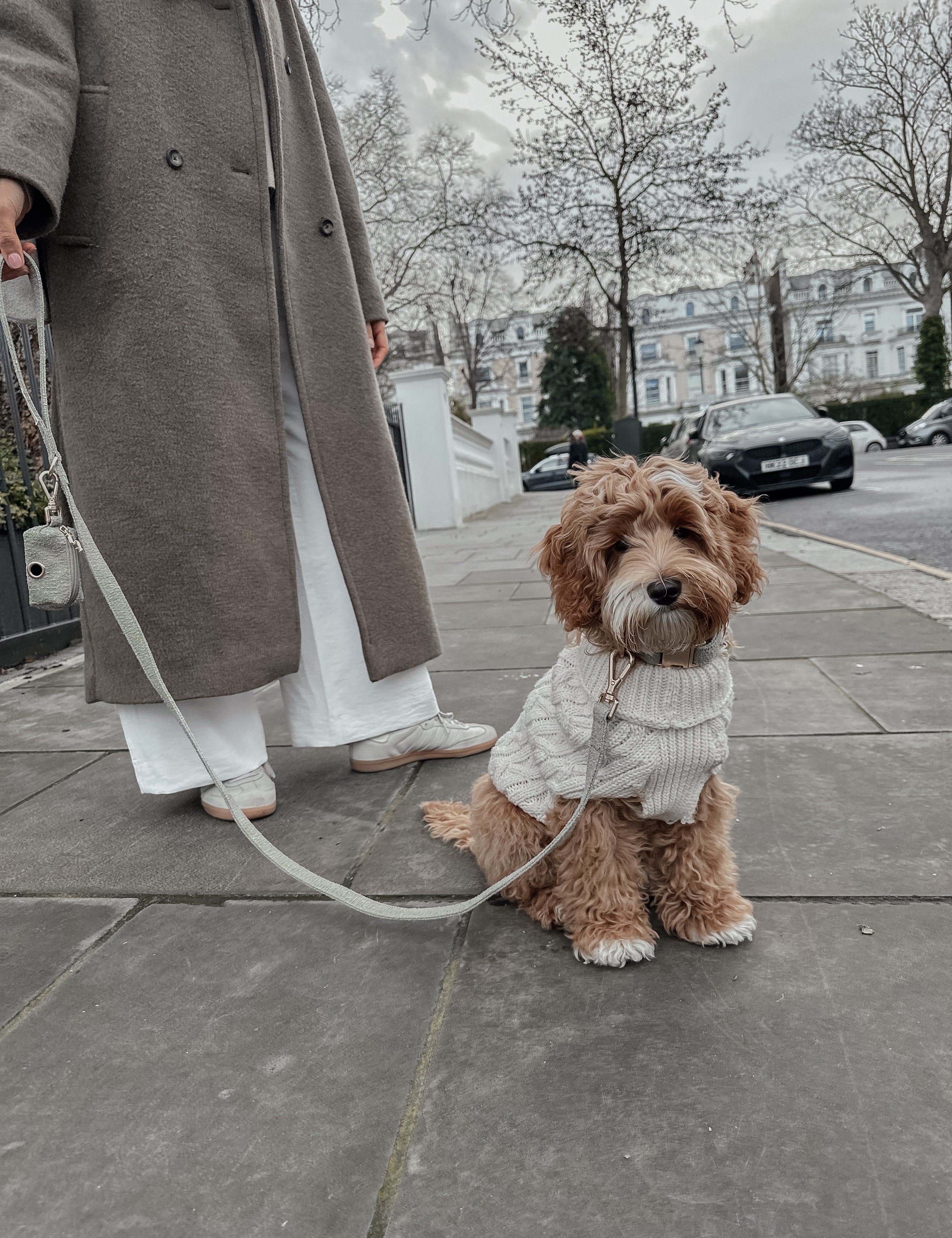 Matcha┃Bouclé Lead