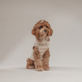 Hazelnut Stripe | Summer Breeze Cooling Vest