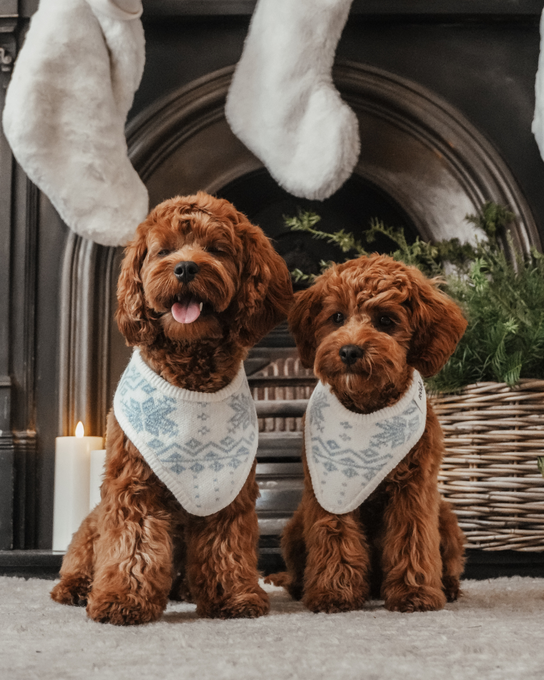 Ice Blue | Après Ski Knitted Bandana