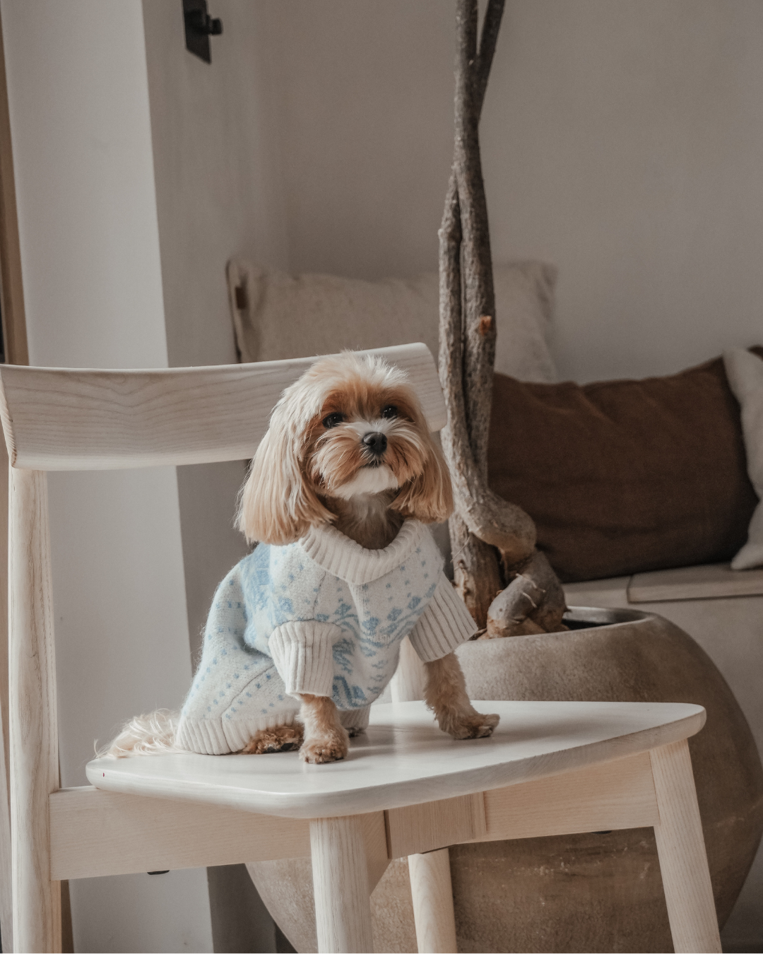 Ice Blue | Après Ski Roll Neck Knit