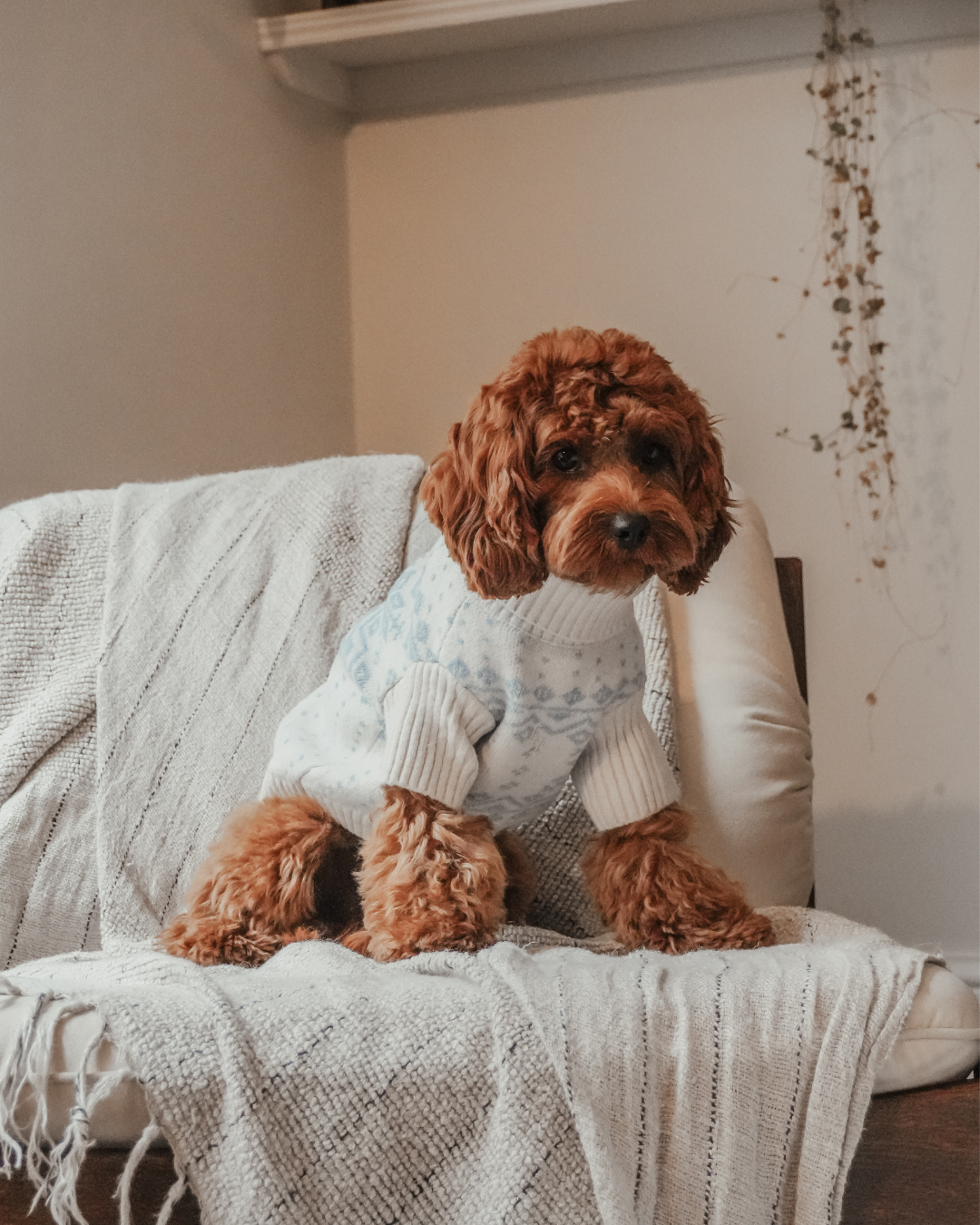 Ice Blue | Après Ski Roll Neck Knit