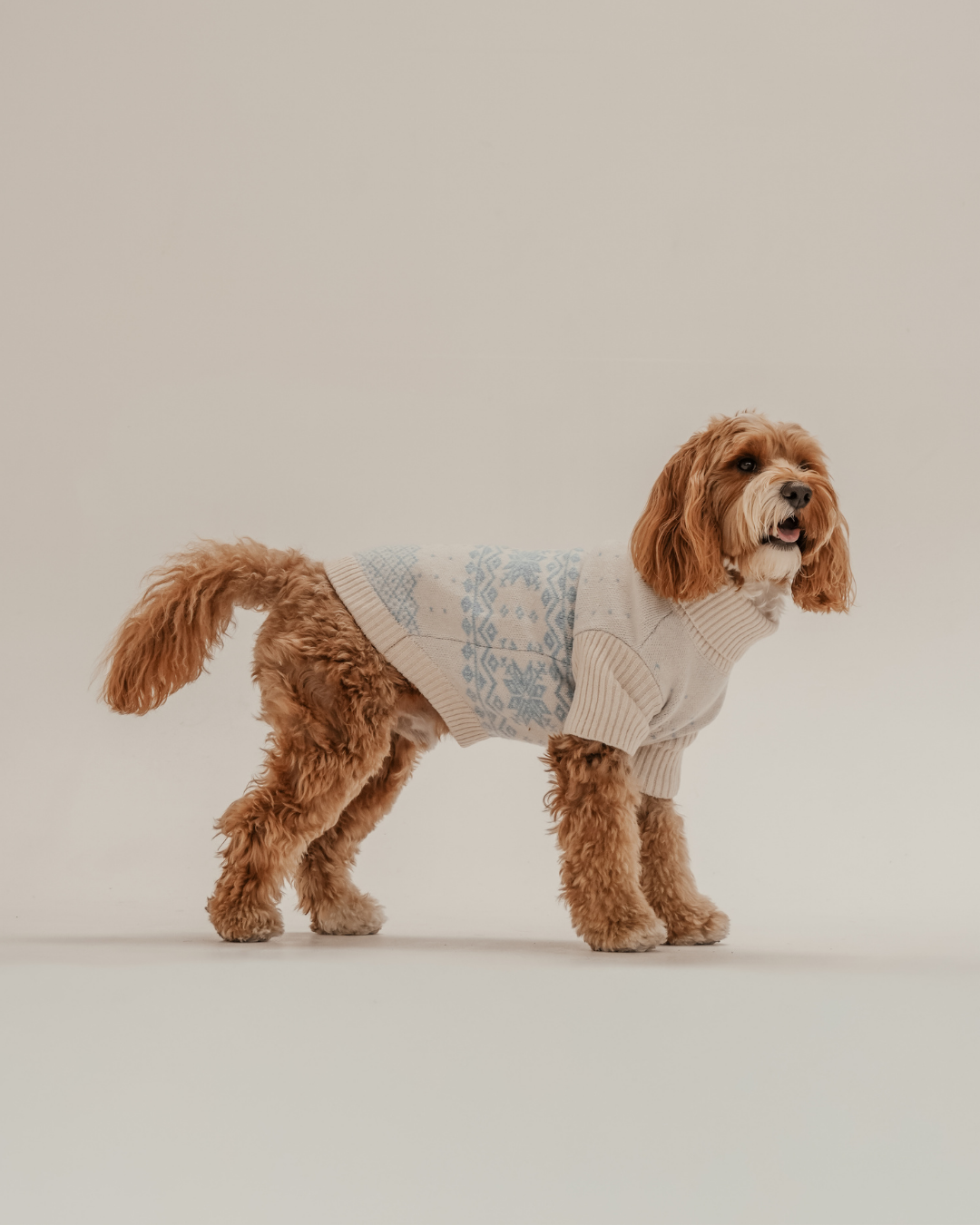 Ice Blue | Après Ski Roll Neck Knit