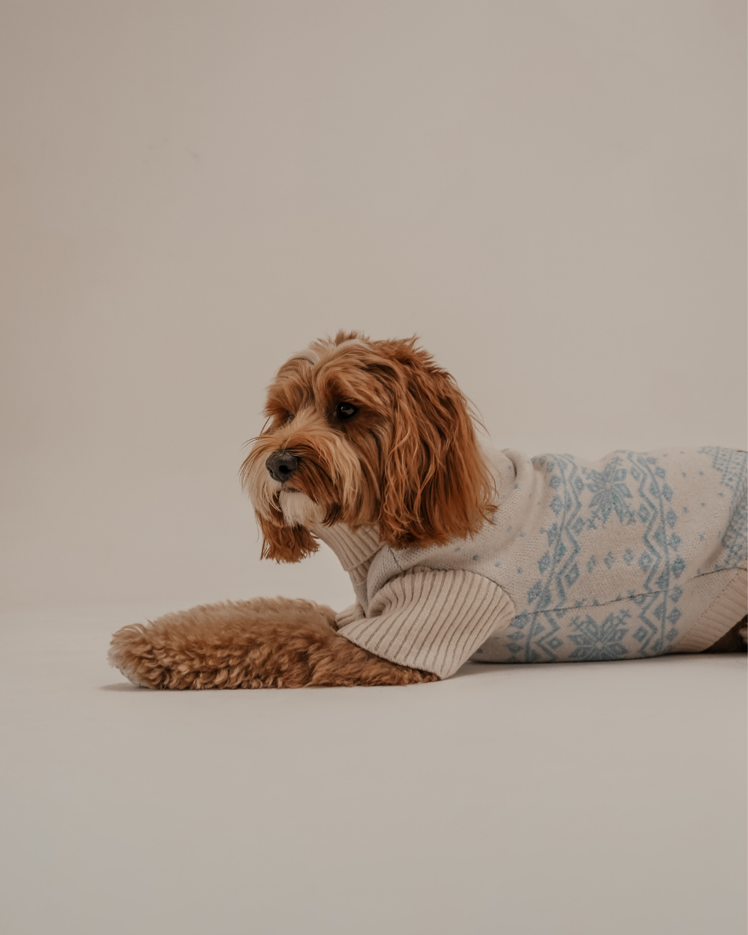 Ice Blue | Après Ski Roll Neck Knit