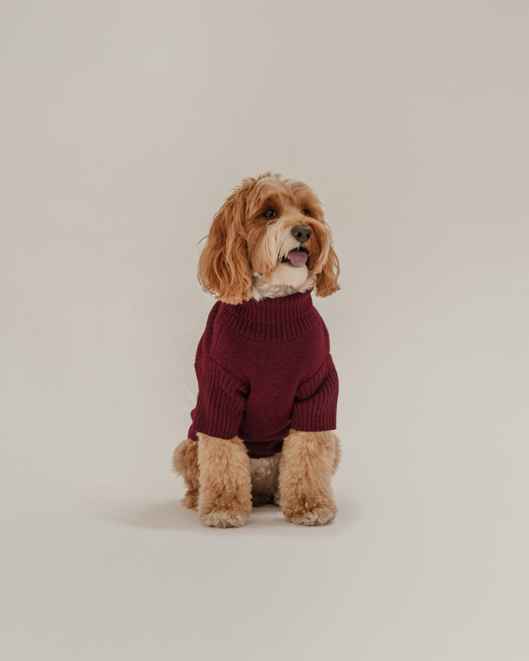 Santa's Little Helper | Roll Neck Knit