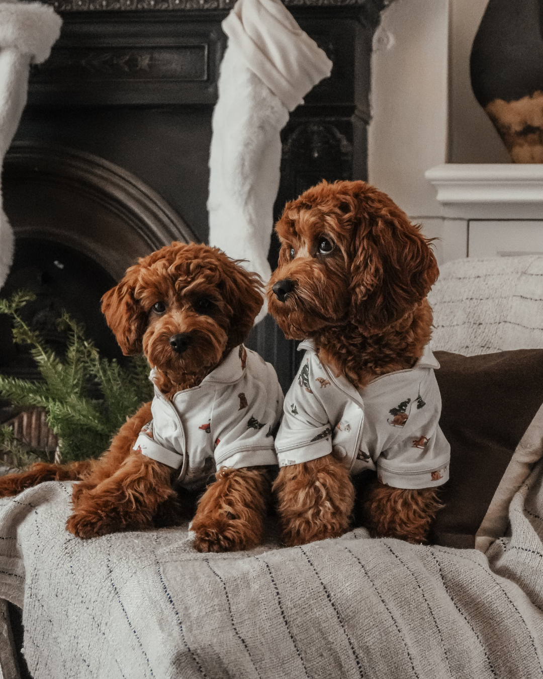 Alpine Village Modal Pet Pyjama Top
