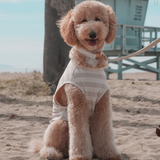 Hazelnut Stripe | Summer Breeze Cooling Vest