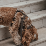 Chocolate┃Bouclé Collar