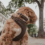 Chocolate┃Bouclé Collar