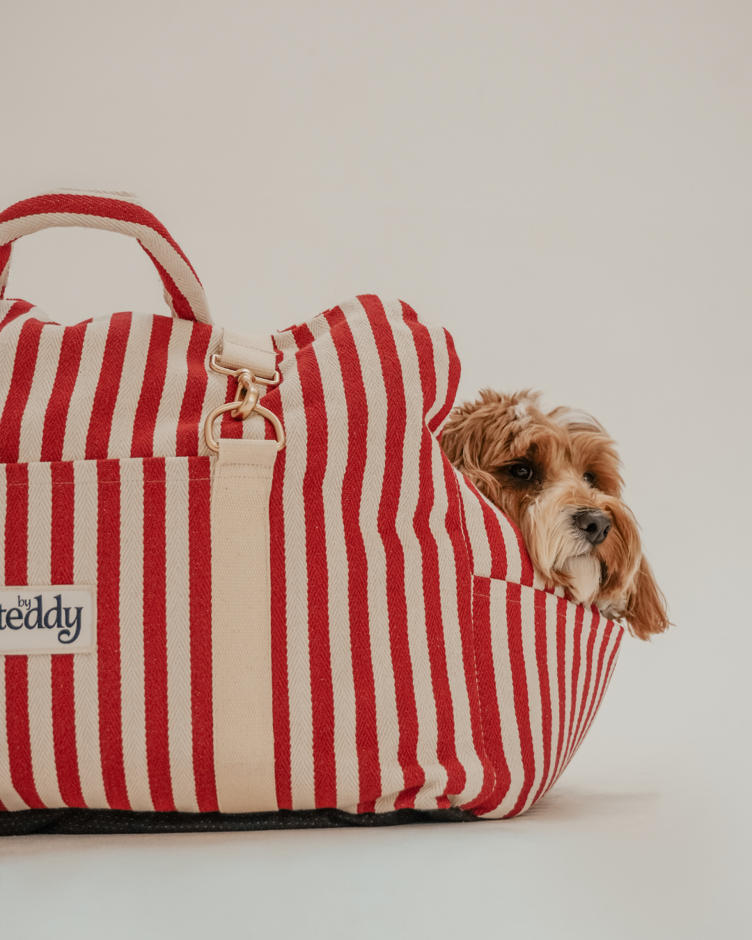 Candy Cane Stripe | The Canvas Car Seat