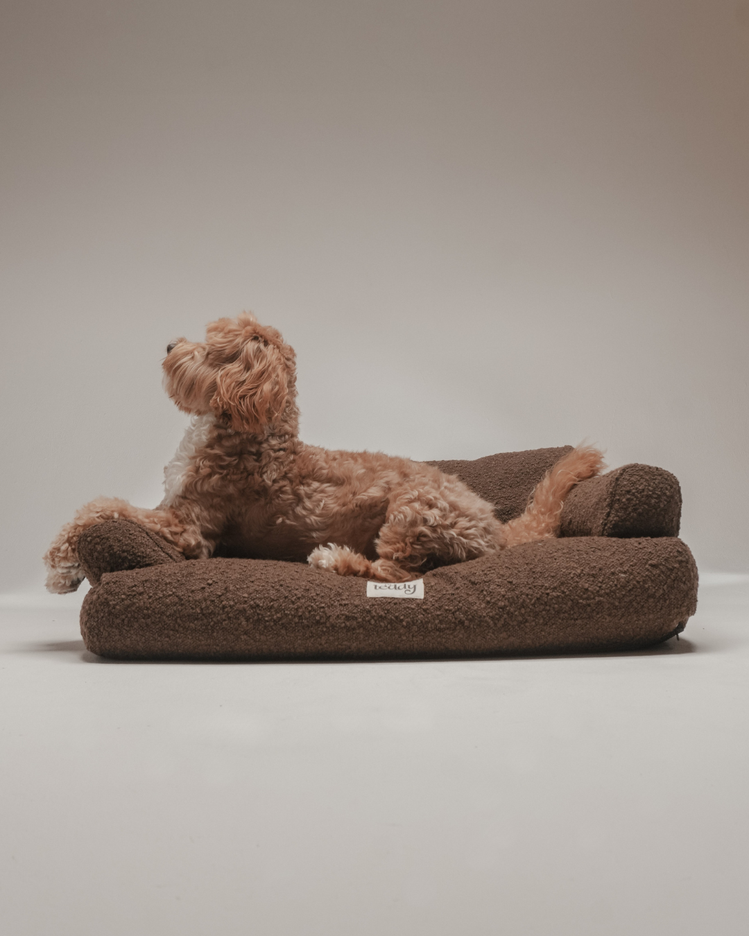 Chocolate | The Teddington Sofa