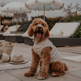 Hazelnut Stripe | Summer Breeze Cooling Vest