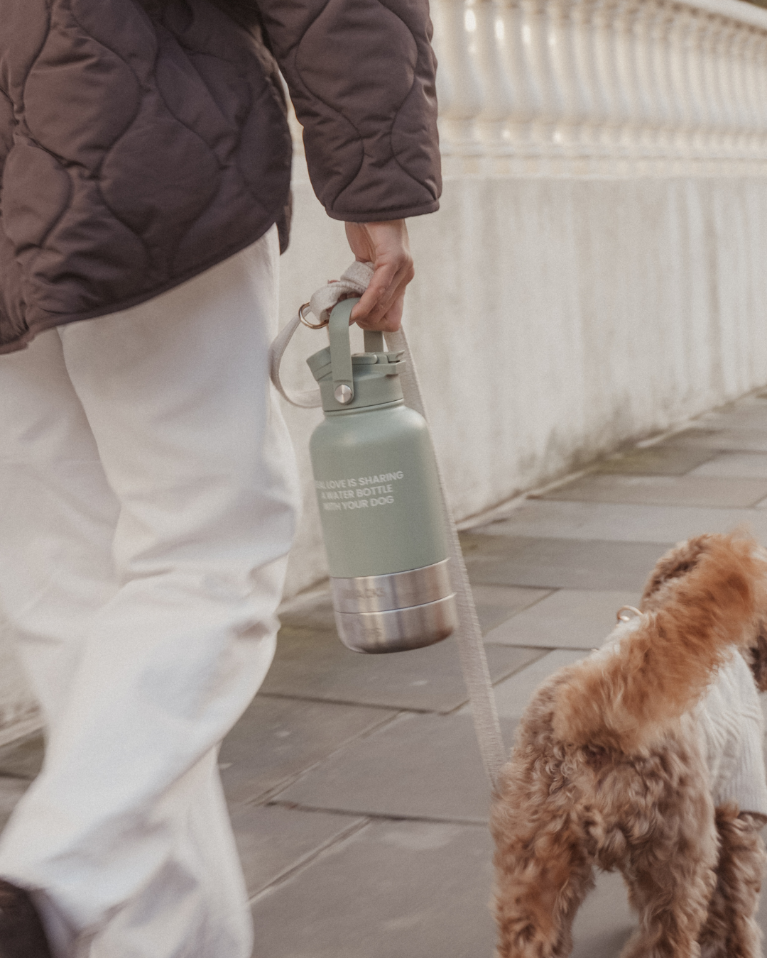 The Bowl Bottle 2.0 | 3-in-1 Travel Bottle