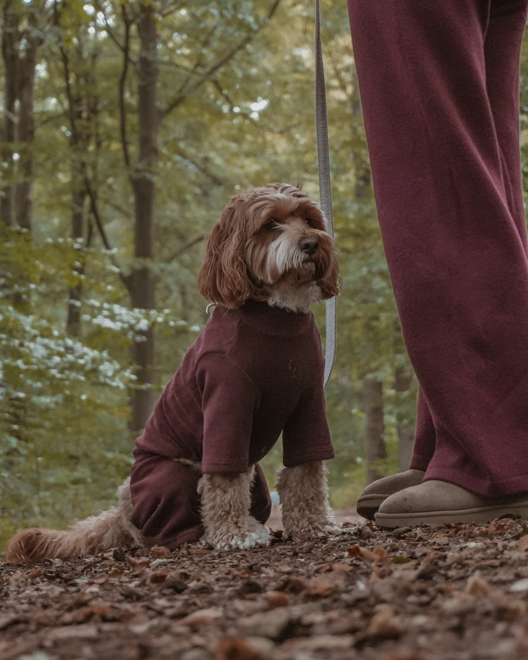 Bordeaux | The Capsule Fleece Bodysuit