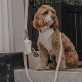 Marshmallow┃Bouclé Lead