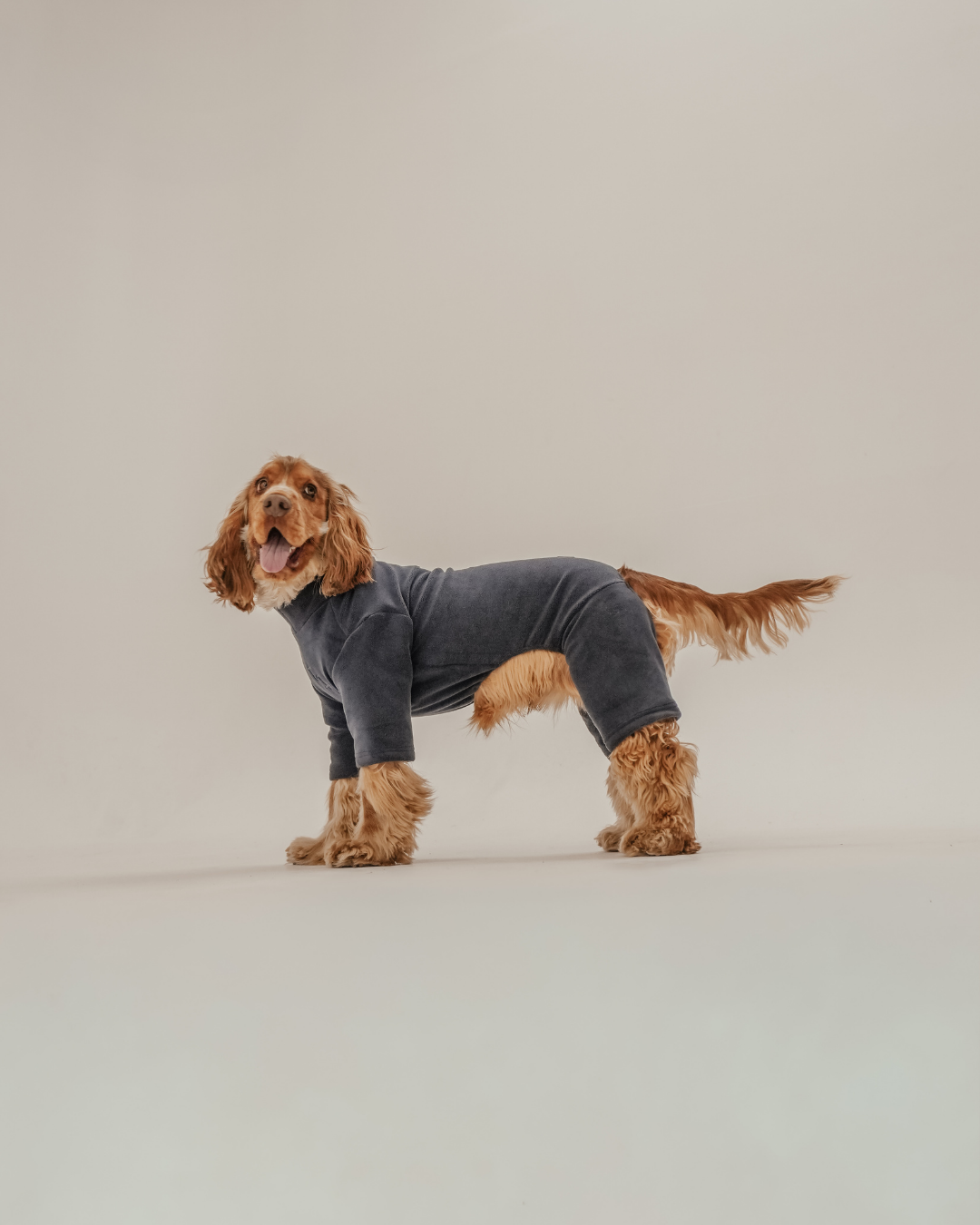 Midnight | The Capsule Fleece Bodysuit