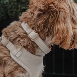 Marshmallow┃Boucle-Kragen