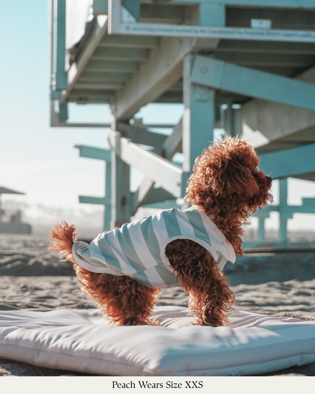 Matcha Stripe | Summer Breeze Cooling Vest