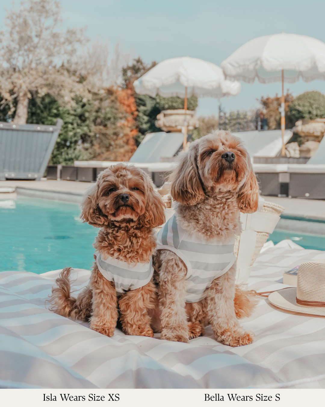 Matcha Stripe | Summer Breeze Cooling Vest