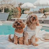 Matcha Stripe | Summer Breeze Cooling Vest