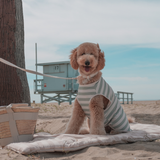 Matcha Stripe | Summer Breeze Cooling Vest