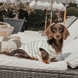 Matcha Stripe | Summer Breeze Cooling Vest