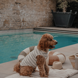 Matcha Stripe | Summer Breeze Cooling Vest