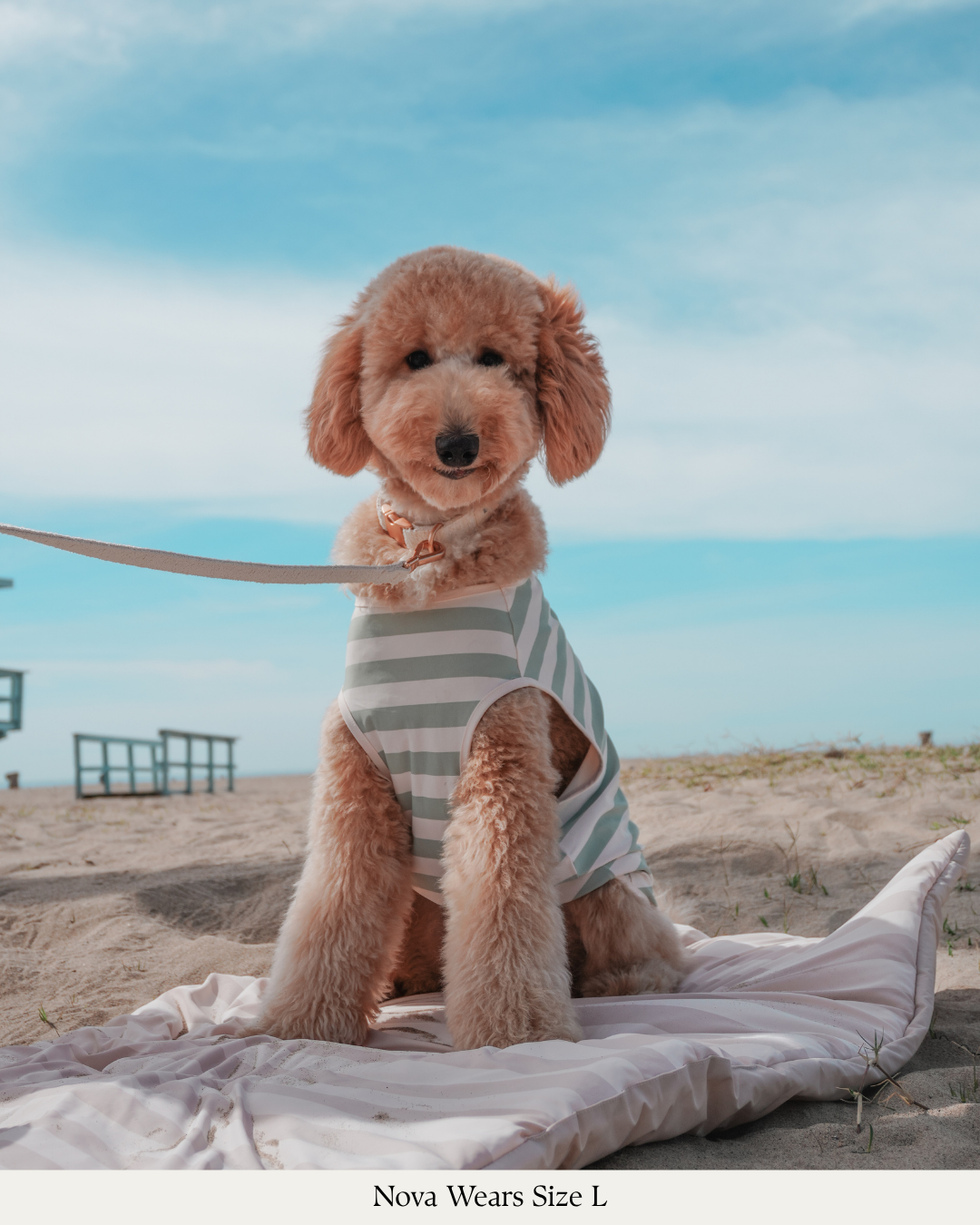 Matcha Stripe | Summer Breeze Cooling Vest