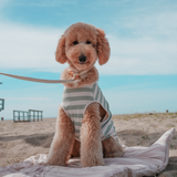 Matcha Stripe | Summer Breeze Cooling Vest