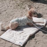 Matcha Stripe | Summer Breeze Cooling Vest