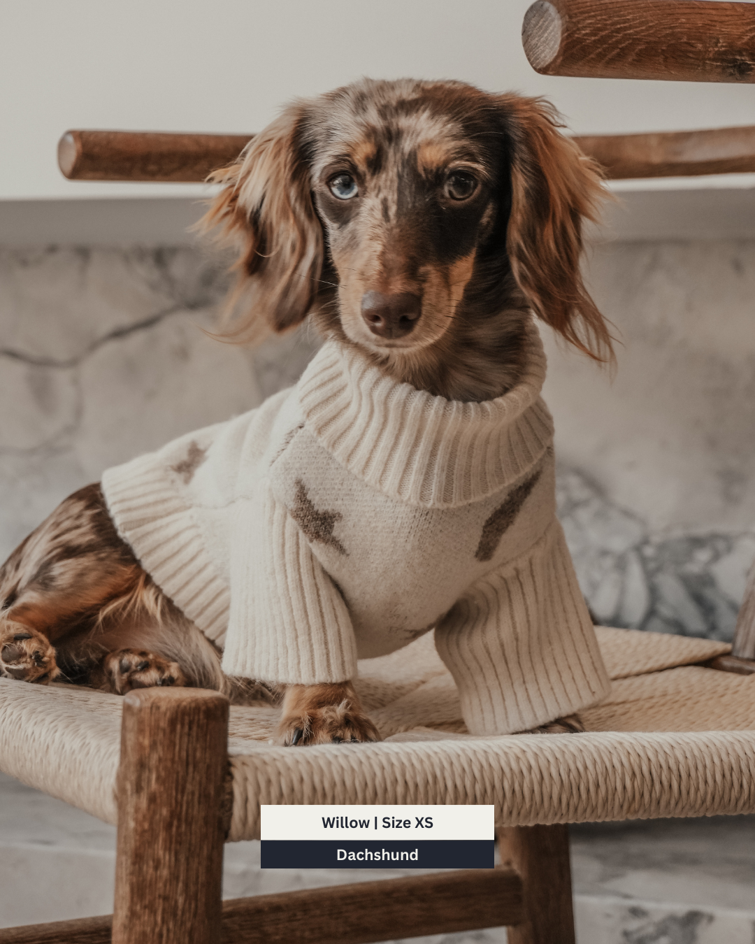 Starry Nights | The Capsule Roll Neck Knit