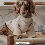 Starry Nights | The Capsule Roll Neck Knit