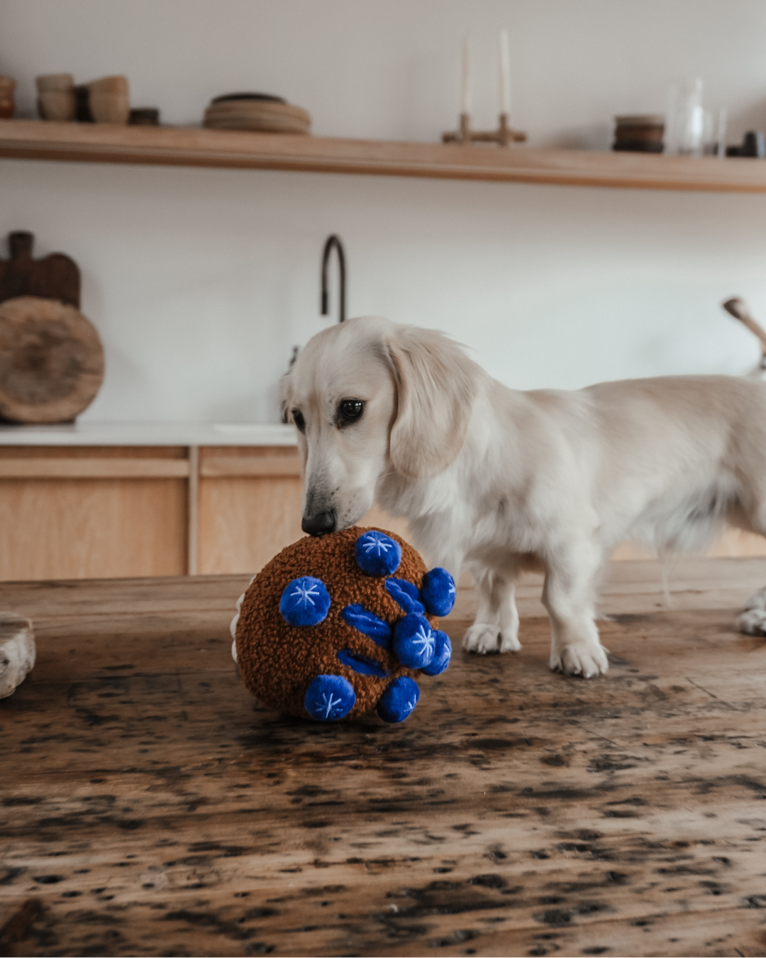 Blueberry Muffin Toy