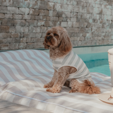 Matcha Stripe | Summer Breeze Cooling Vest