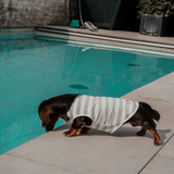 Matcha Stripe | Summer Breeze Cooling Vest