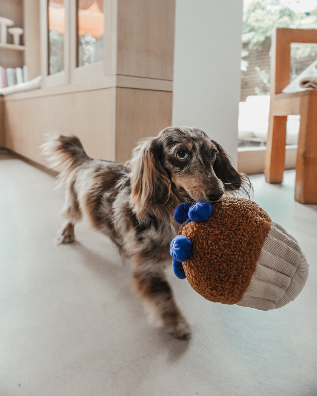 Blueberry Muffin Toy