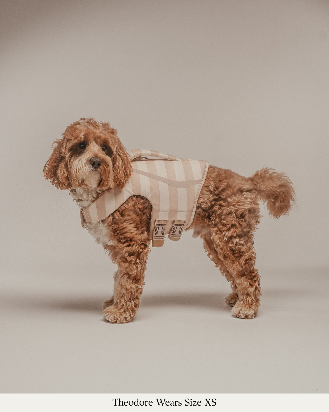 The Tide Rider Life Jacket
