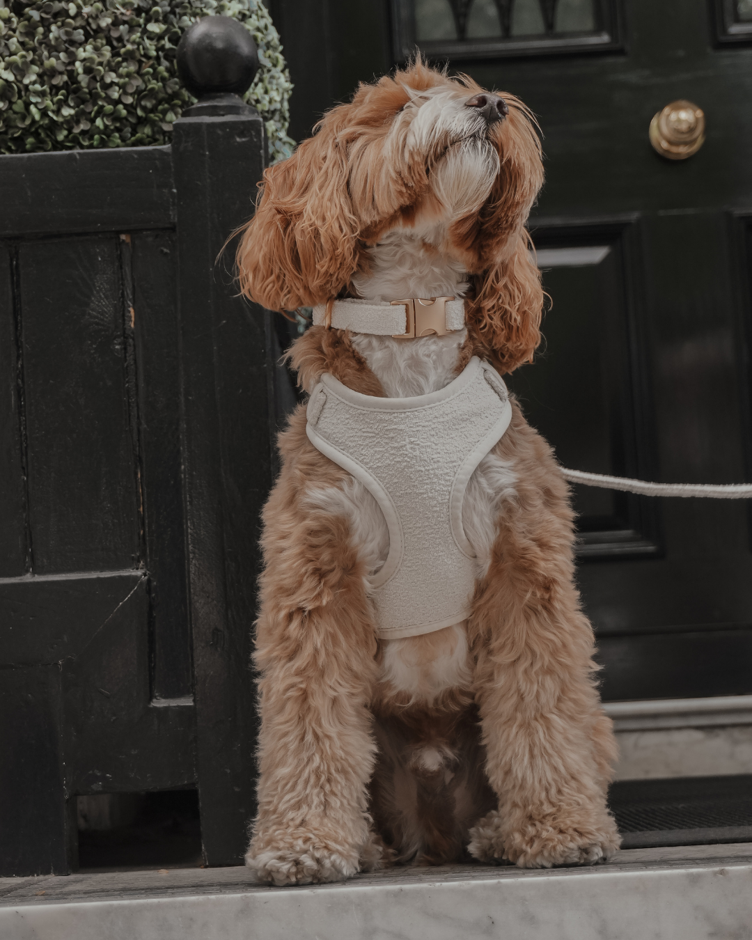 Marshmallow┃Bouclé Collar