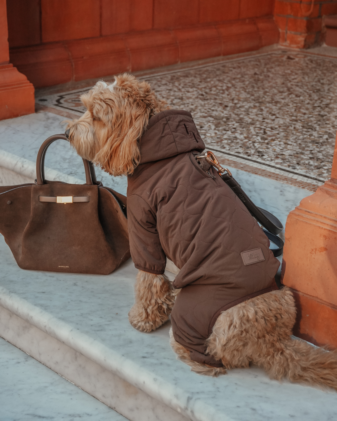 Chocolate | The Capsule Quilted Bodysuit