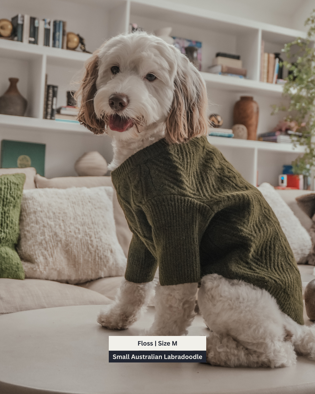 Forest | The Capsule Cable Knit